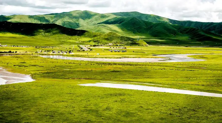 月亮湾草原位于四川红原境内,草原宽阔,牧草茂盛.清澈河水划出一道道