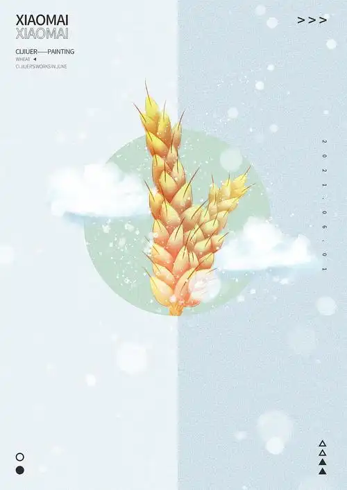 小麦插画