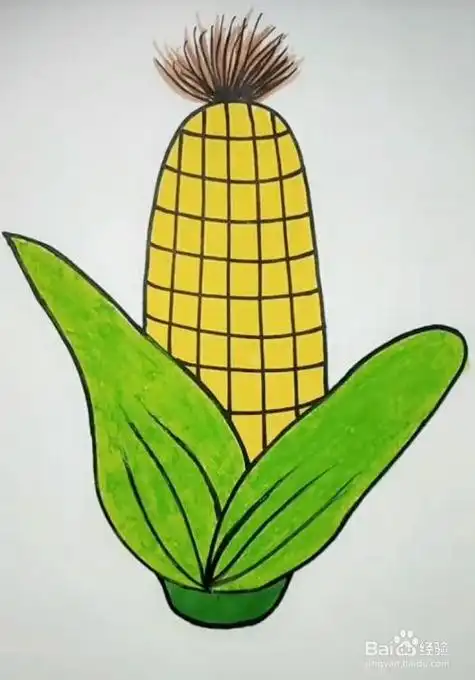 玉米简笔画彩色漂亮好看的玉米简笔画卡通玉米的画法步骤图涂色彩色