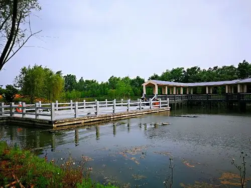 游洪泽湖湿地公园