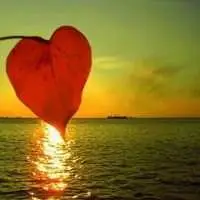 叶子头像唯美意境 绿色清新树叶头像_微信头像图片大全