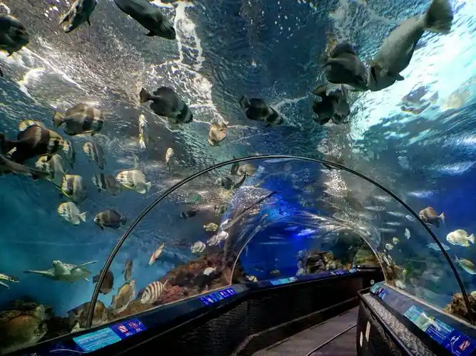 上海海洋水族馆