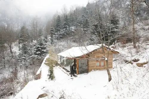 男子抛弃年薪百万的工作,只身隐居终南深山,潜心修道