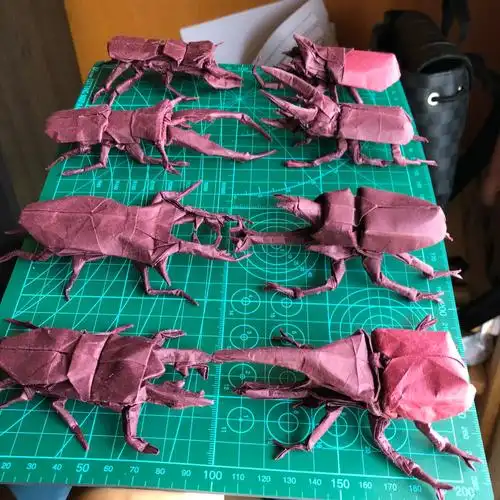 独角仙爱好者,各种甲虫鍬甲,用纸双色磨砂.