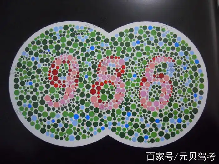 最新色盲测试图,一测便知你能不能考驾照!