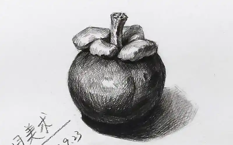 【素描】静物山竹-素描提高系列视频教程-七月美术_哔哩哔哩_bilibili