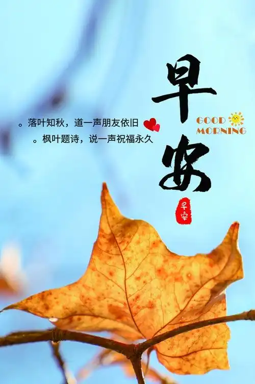 海报早安你好我的早安心语手机海报每日早安你好问候早上好问候语带
