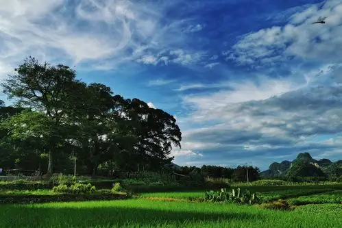 乡下风景美如画