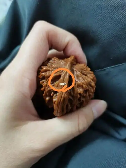 文玩核桃 ,呜呜从上铺摔了下去,会不会裂啊以后