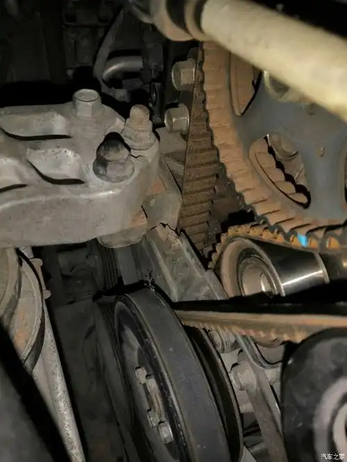 赛拉图正时皮带