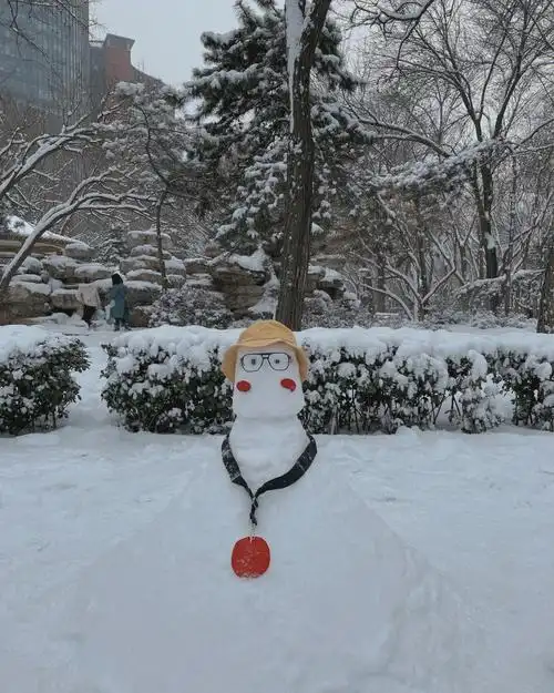 拍照啦我在公园堆雪人70