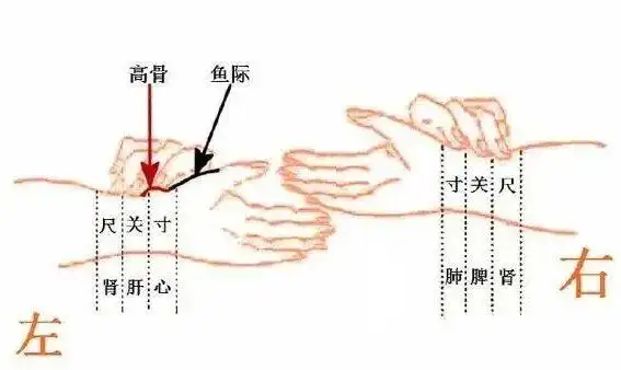 赶紧看看中医把脉需注意啥