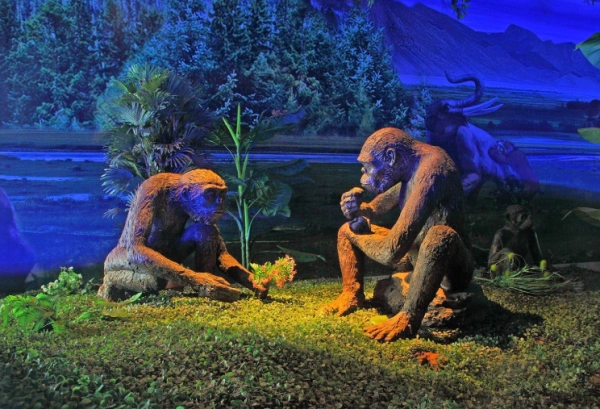 元谋人,北京人和山顶洞人生活方式 - 99问答网