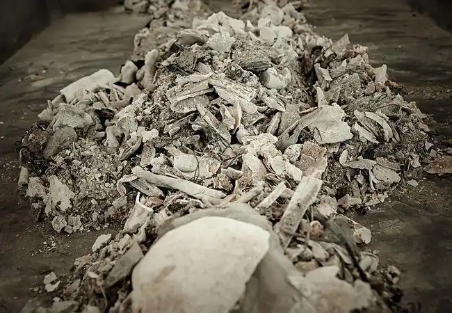 科学解释人的骨灰是什么舍利子到底又是什么