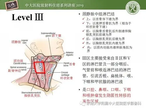 颈部淋巴结分区及常见病变的影像表现