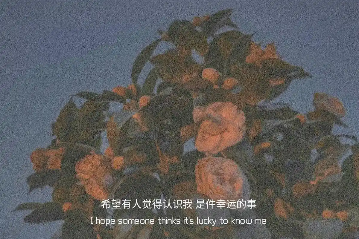 背景图 #自愈系 #文案情感 #随心文案   宫崎骏曾说过 - 抖音