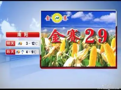 河南卫视天气预报广告报价