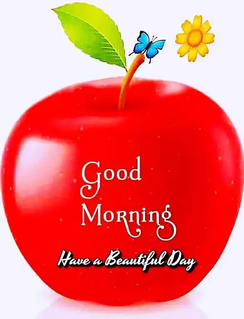 祝福语:早上好,good morning