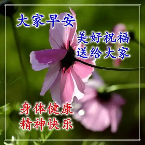 十月初一早上好问候语带图片新版早安祝福语阳光图片表情大全