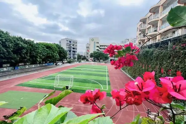 新学期新希望新征程67重大附小育英小学开学啦