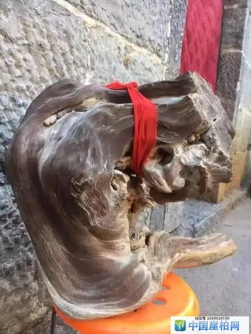 其陈化至极,历久弥坚,温润如玉,可谓是崖柏中万里挑一的极品