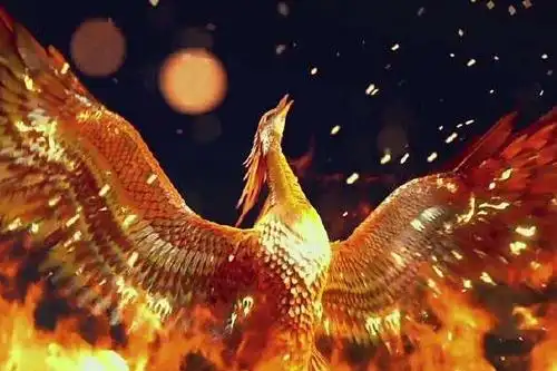 凤凰真的存在吗,山村老农,拍下真实照片