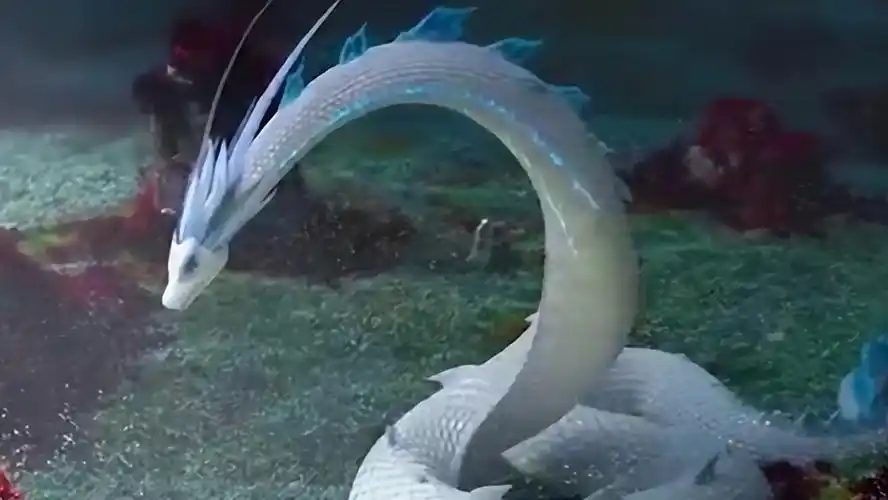 500年的大蛇真能化蛟?"长江走蛟"是咋回事?