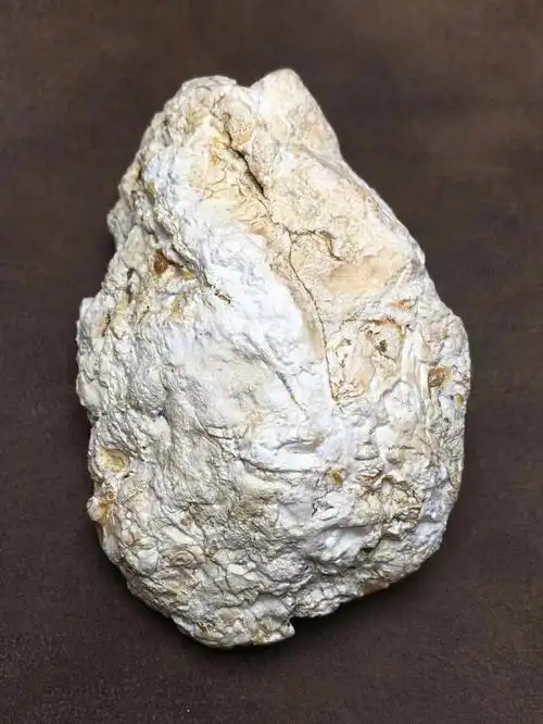 平淡无奇的白蜡原石