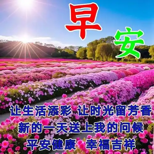 最新暖心早上好,精选早安祝福图片_问候_阳光_安康