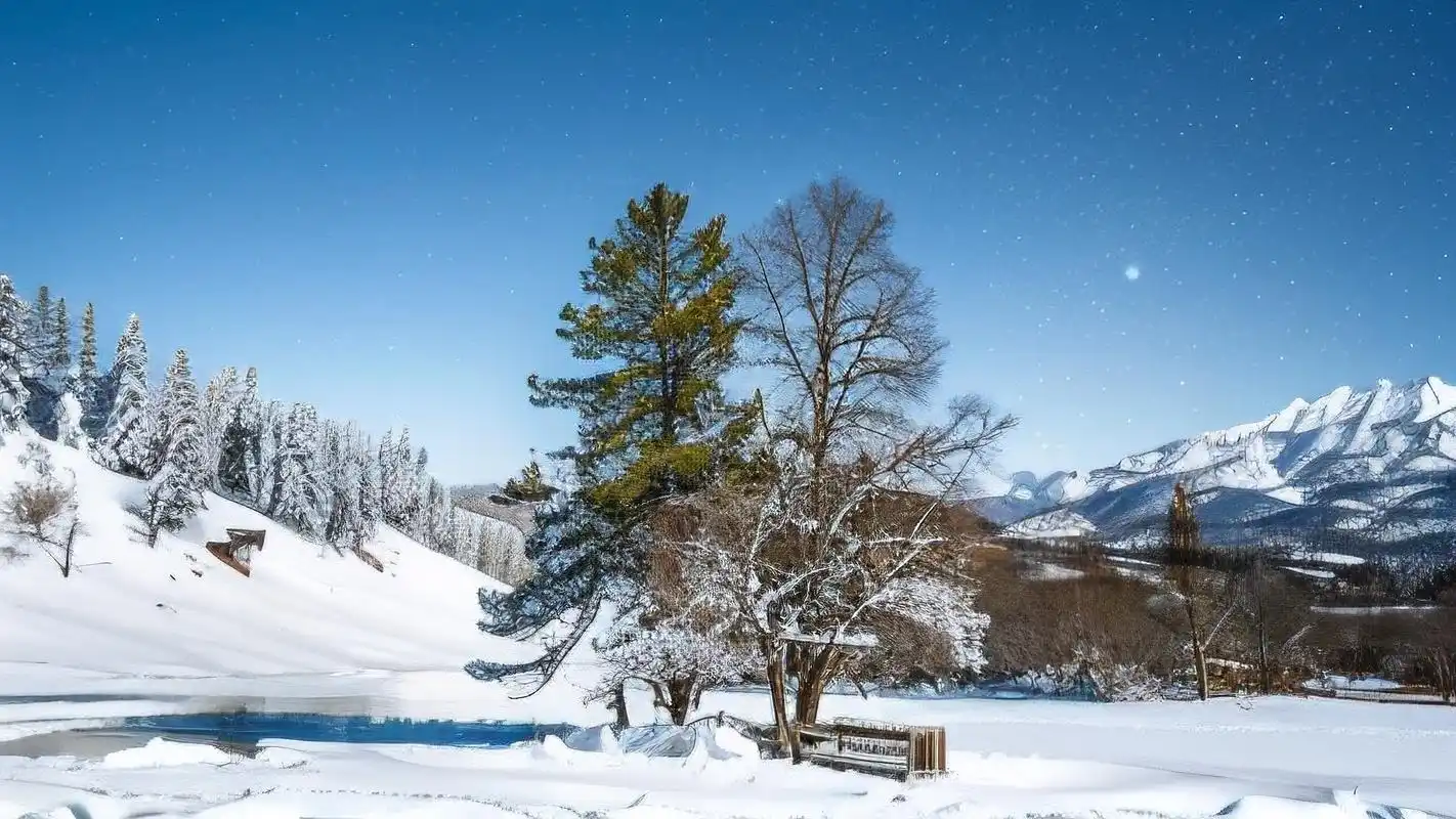 白色背景📸,纯净雪地之美❄️