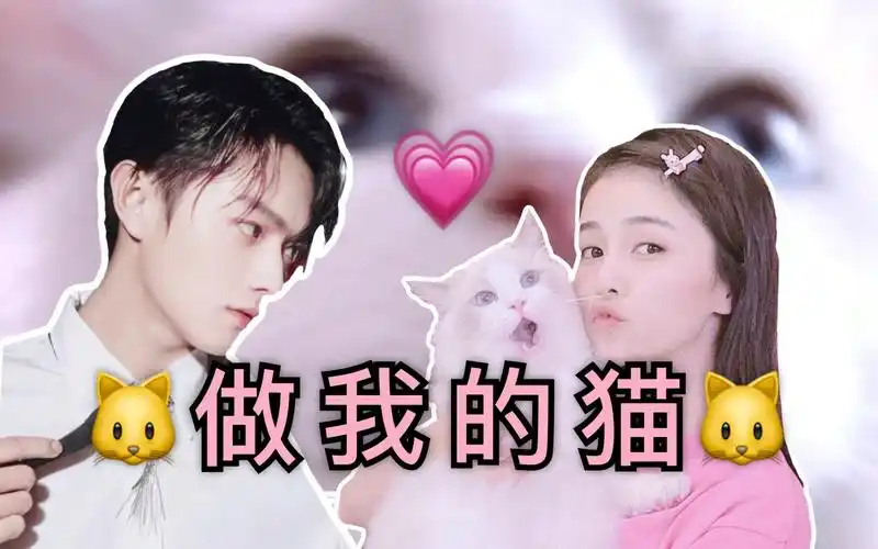 许凯x白鹿你喜欢猫而我喜欢你做我的猫