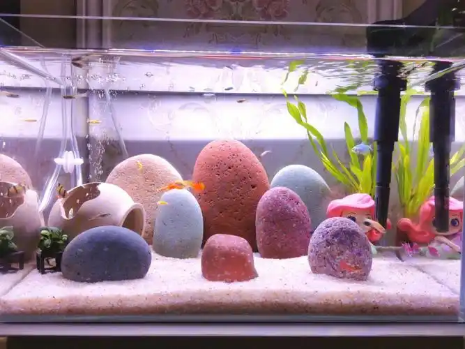 彩石鱼缸细节图