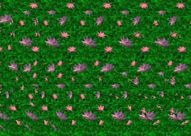 头一次看这么美的三维立体图,能看到的有福了,看不到也有诀窍_网易