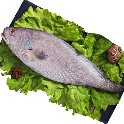 第二件0元野生海捕鳘鱼3斤