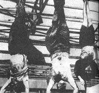 墨索里尼是咋死的