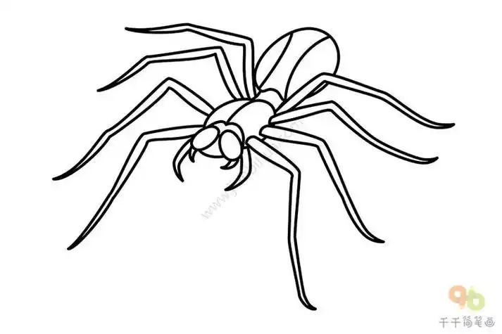 蜘蛛卡通图画简笔画