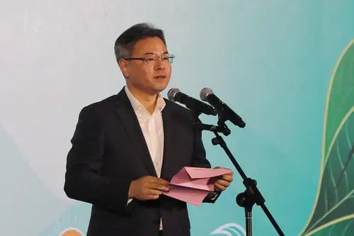 太华镇党委书记 江峰