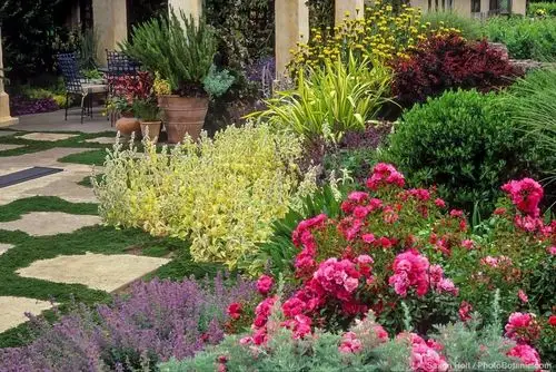 干货混合花境设计与种植建议