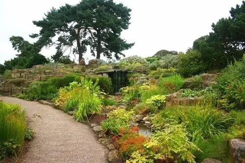 600p植物造景意向图用得着就留着