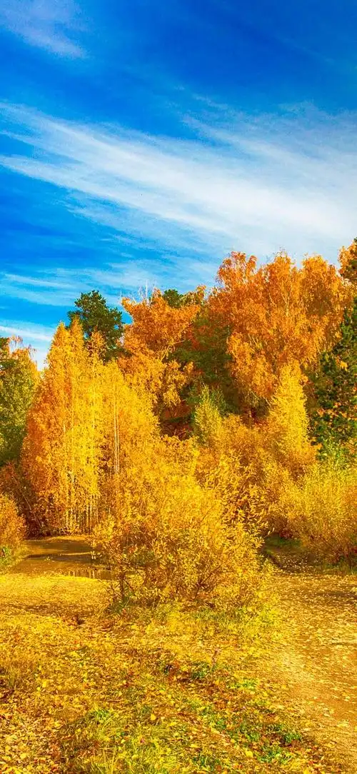 壁纸|高清手机壁纸243