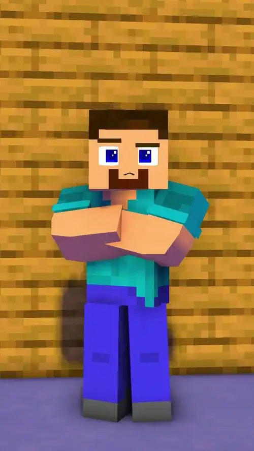 史蒂夫就是herobrine?