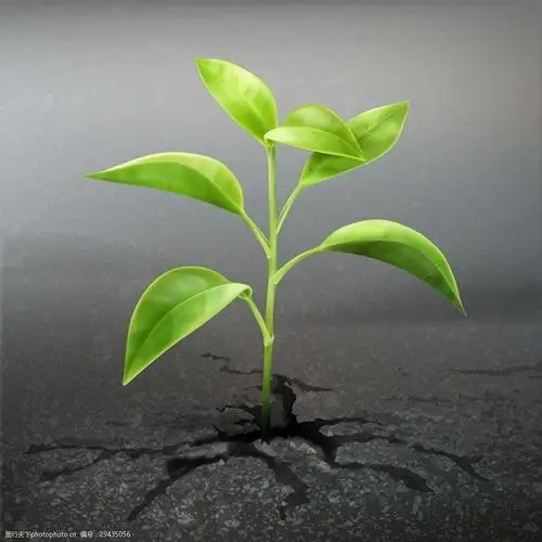 树苗发芽植物ai矢量素材下载