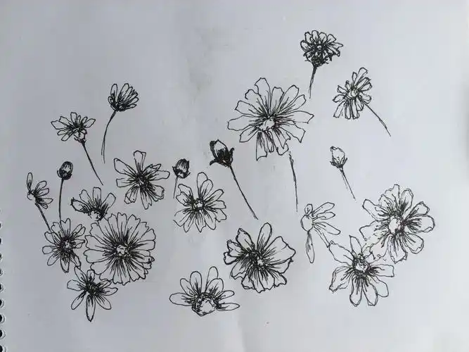 签字笔画(画) - 简书