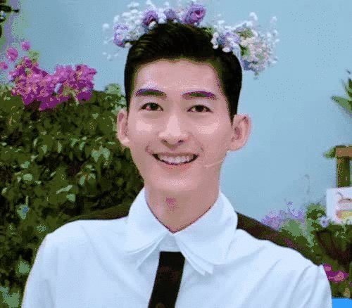 热点热门 萌宠表情 萌娃表情 斗图表情 锦鲤 土味语录 套路图