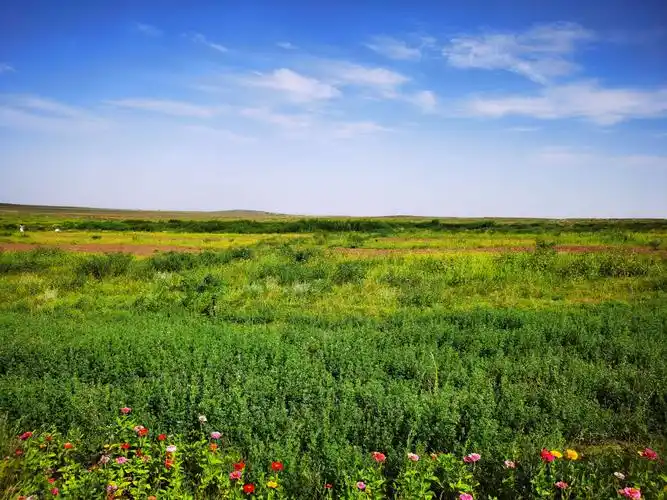 美丽的鄂尔多斯草原———请你来做客