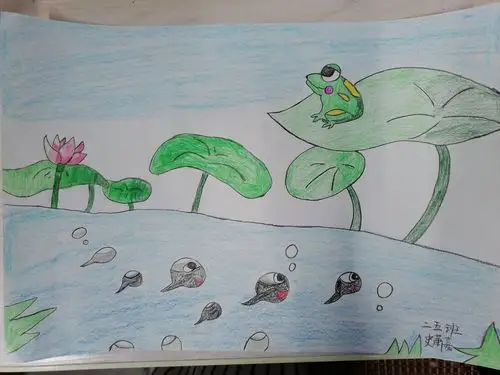 鹤翔小学二五班"我为课本绘插图"之《小蝌蚪找妈妈》