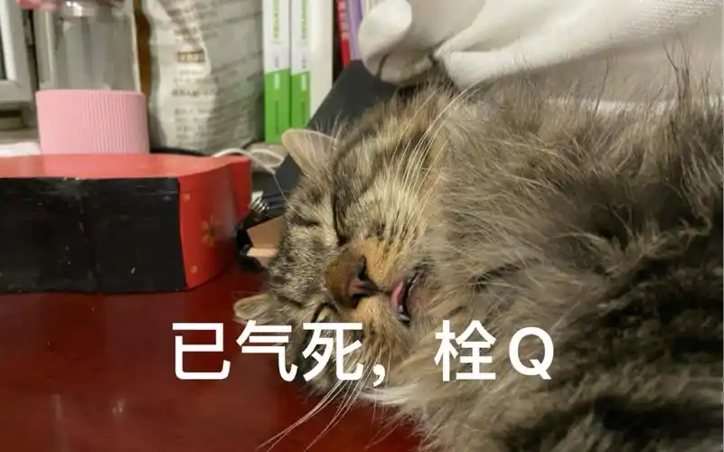 可着一个地儿嚯嚯是吧?(掐人中ing