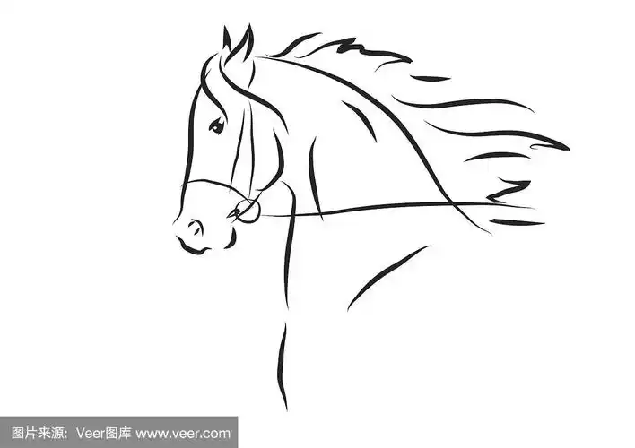 矢量插图的马头