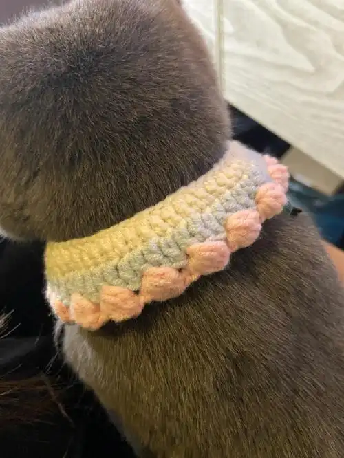 哦这款猫猫带狗狗带都很合适#手工编织宠物项圈  #猫猫  #猫咪围脖