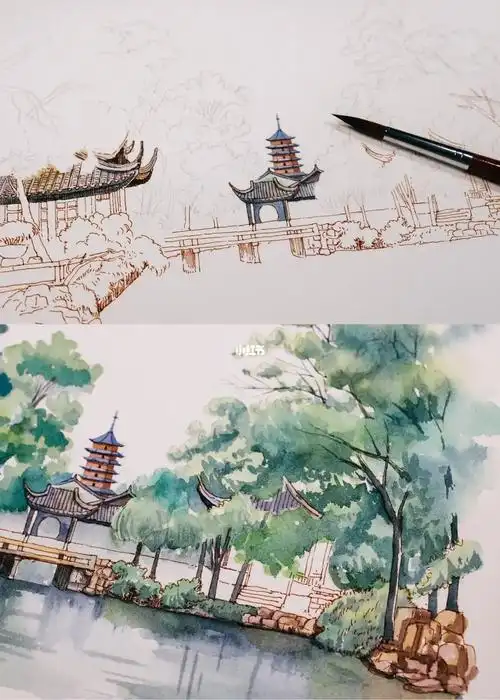 水彩丨苏州拙政园